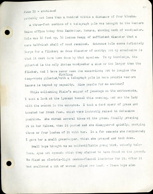 Frank H. Shoemaker typescript, 46 pages, detailing bird sightings, field trips, photography, and associated activities in Omaha, Nebraska.