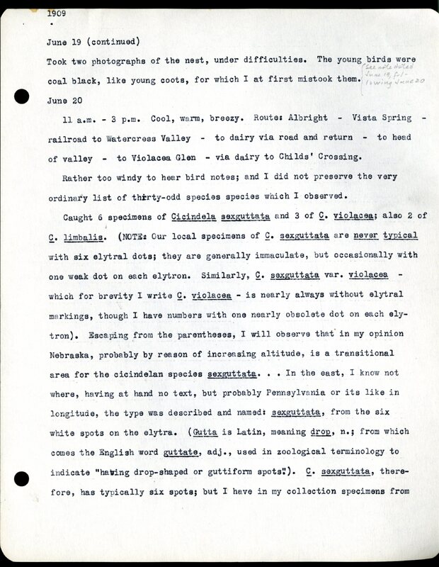 Frank H. Shoemaker typescript, 11 pages, notes and bird lists from field trip at Havelock, Nebraska, and areas surrounding Lincoln, Nebraska