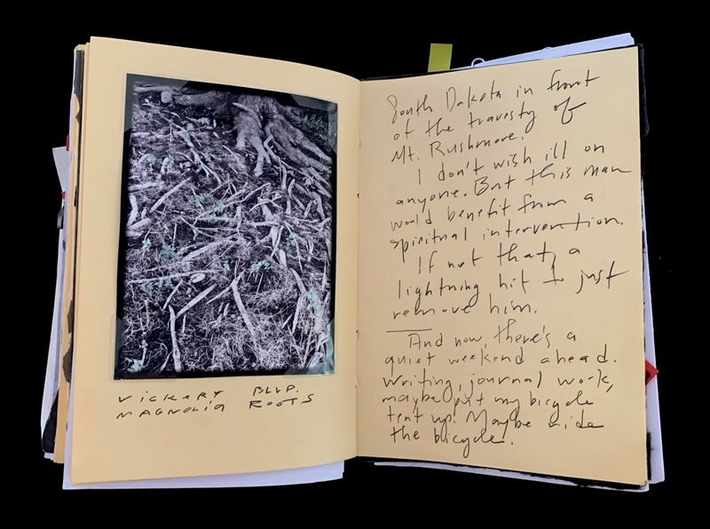 A journal page featuring a photograph of magnolia roots and handwritten reflections on a quiet weekend.