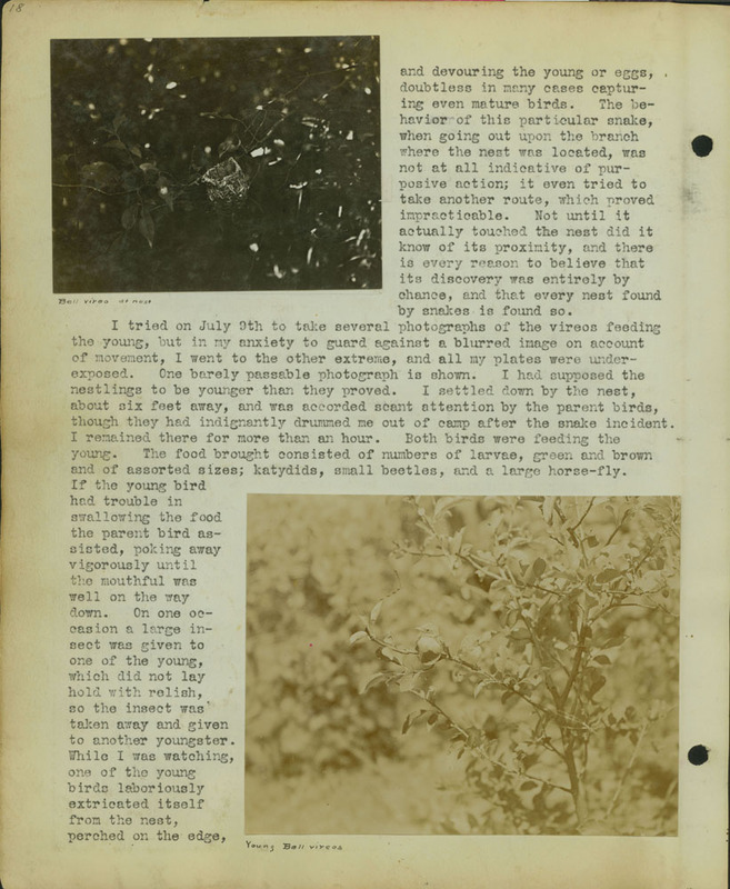 Frank Shoemaker, Narratives, Thomas County, July 3-11, July 27-30, 1911