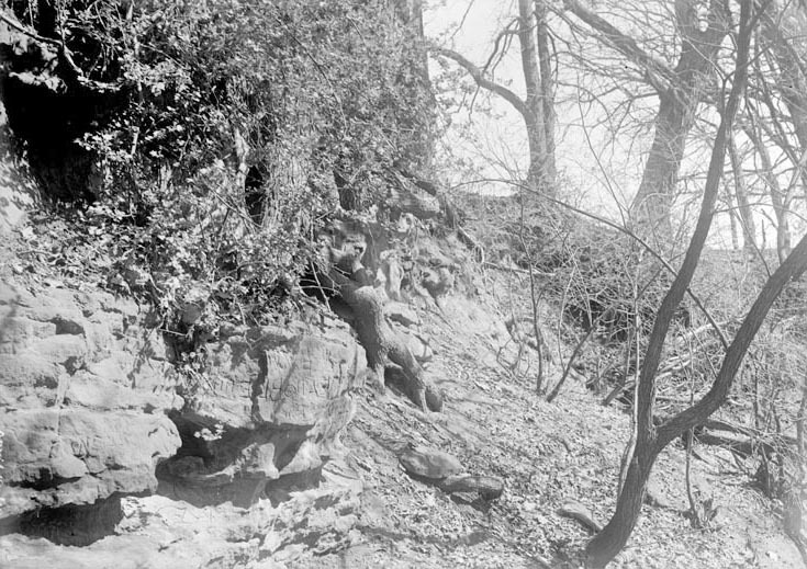 View near Branson woods. Lancaster County. Frank H. Shoemaker (321301-A1017)