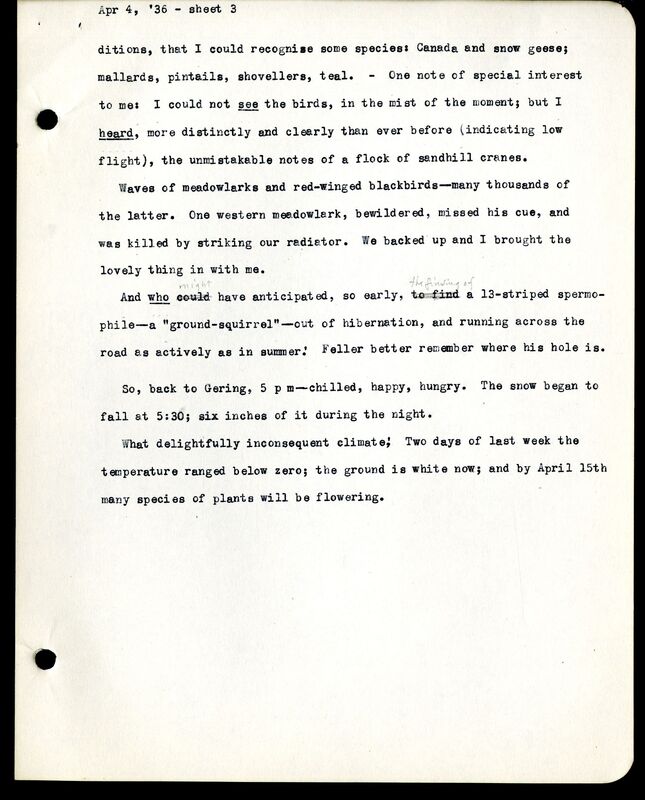 Frank Shoemaker - Sandhills Narratives