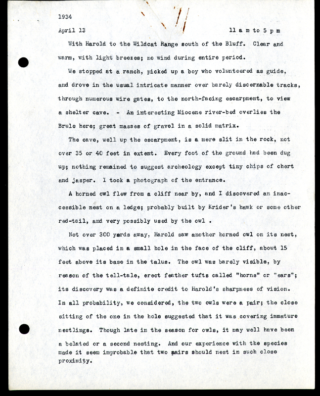 Frank H. Shoemaker typescript, 9 pages, on Wildcat Range and owls, fossils, and lantern slides.