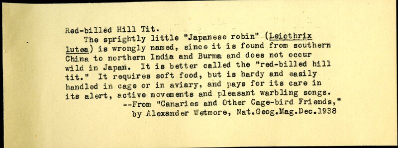 Frank H. Shoemaker typescript, 23 pages, on the bird-room in Omaha home