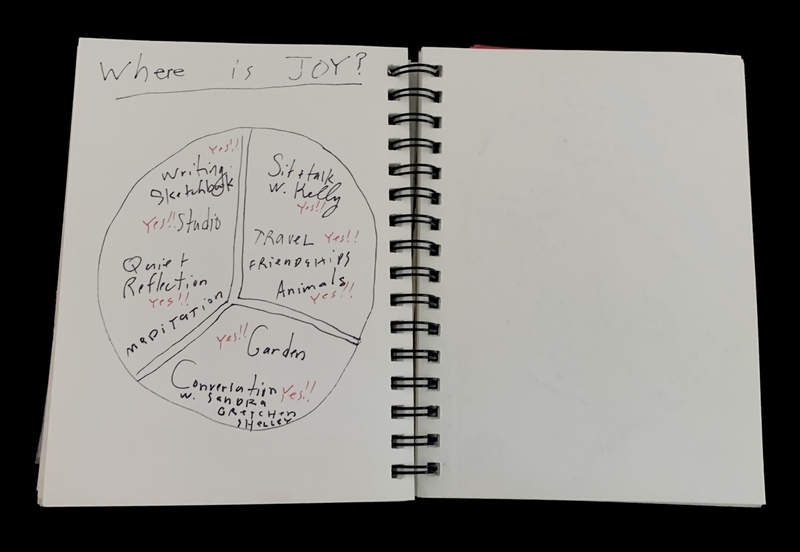 A spiral-bound notebook page titled "Where is JOY?" with a Venn diagram and handwritten notes.