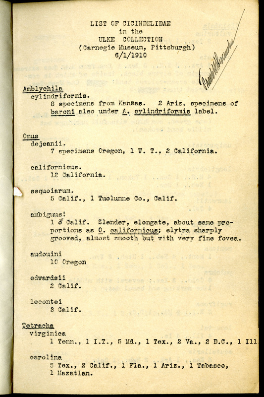 Frank H. Shoemaker typescript, 31 pages, including notes and list on CICINDELIDAE in the Carnegie Museum, Pittsburgh, PN, Nebraska, and his own collection.