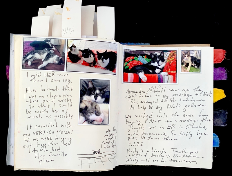 Open journal with photos of cats and handwritten notes.