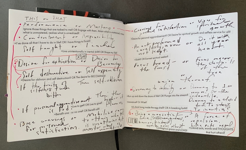 A hand-drawn journal page with various philosophical and reflective notes.