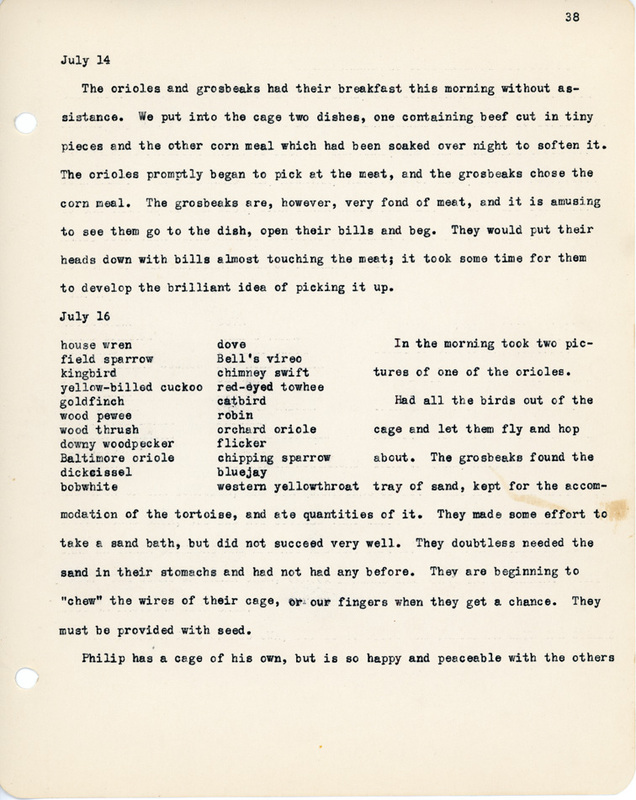 Elizabeth Van Sant transcribed letters