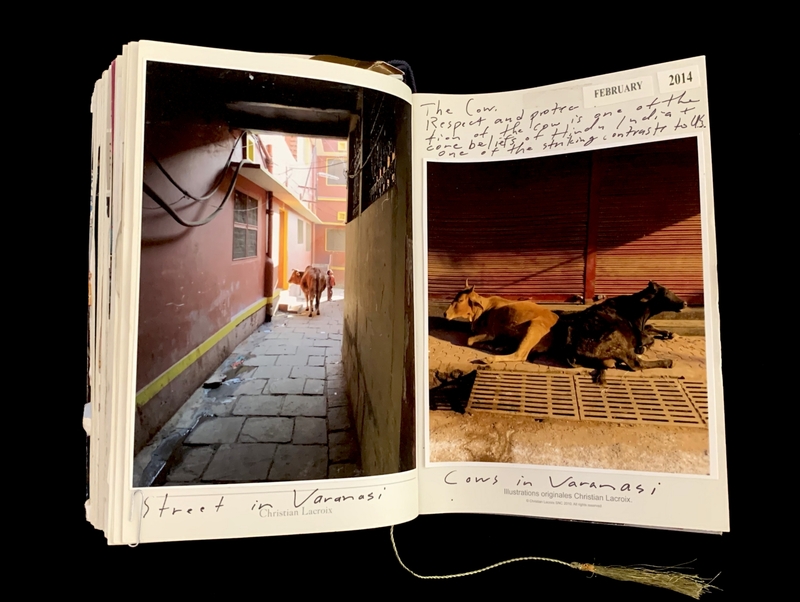 A photograph of a street in Varanasi, India, juxtaposed with a scene of cows resting on a street, accompanied by handwritten notes about the significance of cows in Hindu culture.