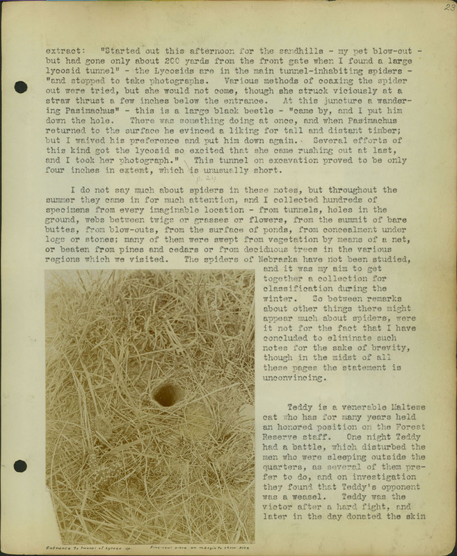 Frank Shoemaker, Narratives, Thomas County, July 3-11, July 27-30, 1911