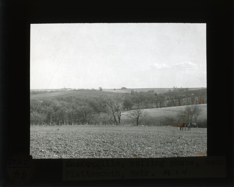 Original caption: [Drift] Loess Hills, rolling phase, near Plattsmouth, Nebr. 46 L.H. Cass County. (121111-00322)