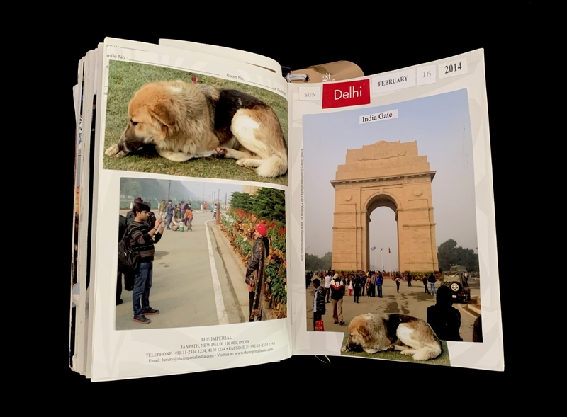 Open book showing photos of a dog, people at a park, and India Gate in Delhi, dated February 16, 2014.
