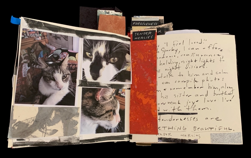 Open scrapbook with cat photos and handwritten notes.