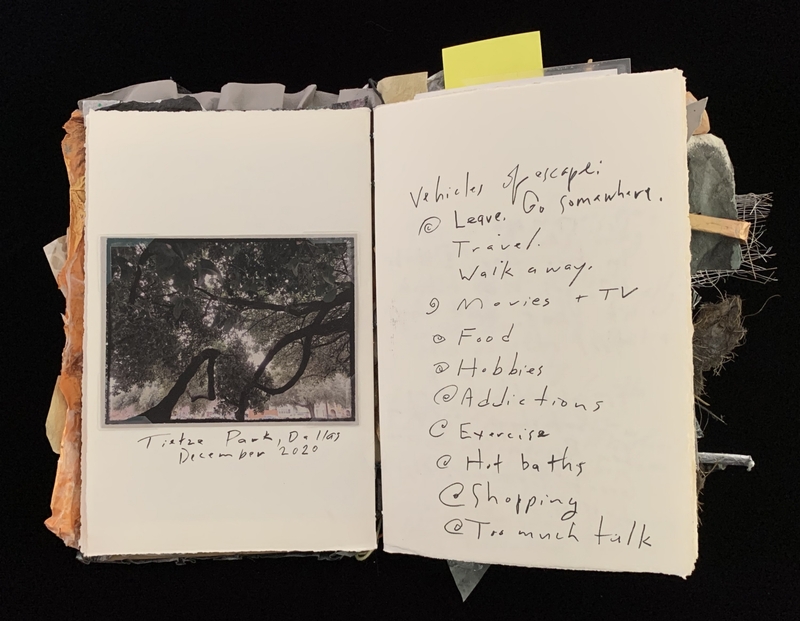 : A photograph of a tree and a handwritten list of escape mechanisms.