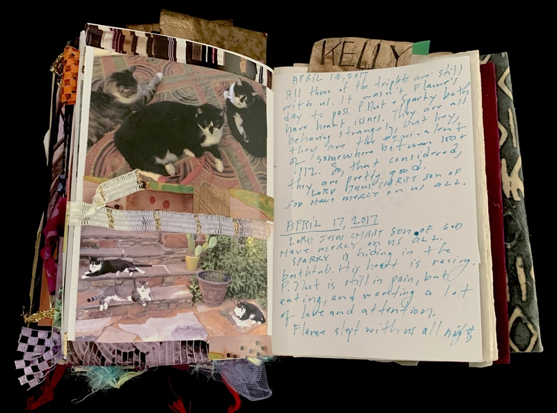 A scrapbook page featuring a collage of cat images and handwritten notes about the health of three cats.