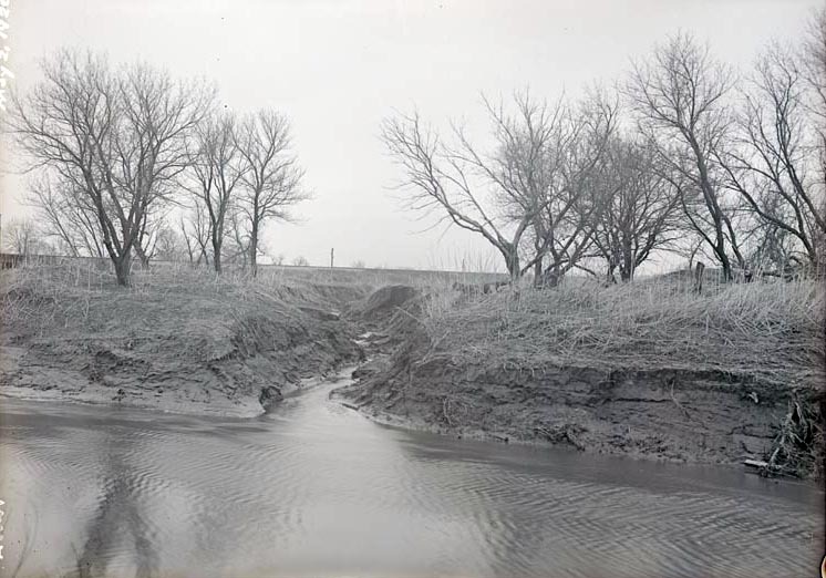 Salt Creek north of Havelock, small tributary, eroded banks. May 2, 1920