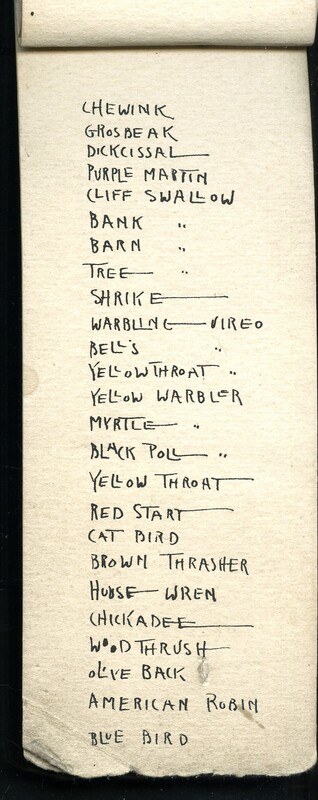 Frank H. Shoemaker handwritten composite list of birds, 5 pages, seen at Salt Basin, Lincoln, Nebraska.