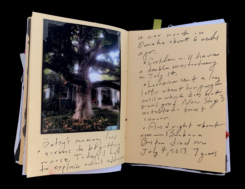 A handwritten page with a Polaroid-style photograph of a tree and handwritten notes.
