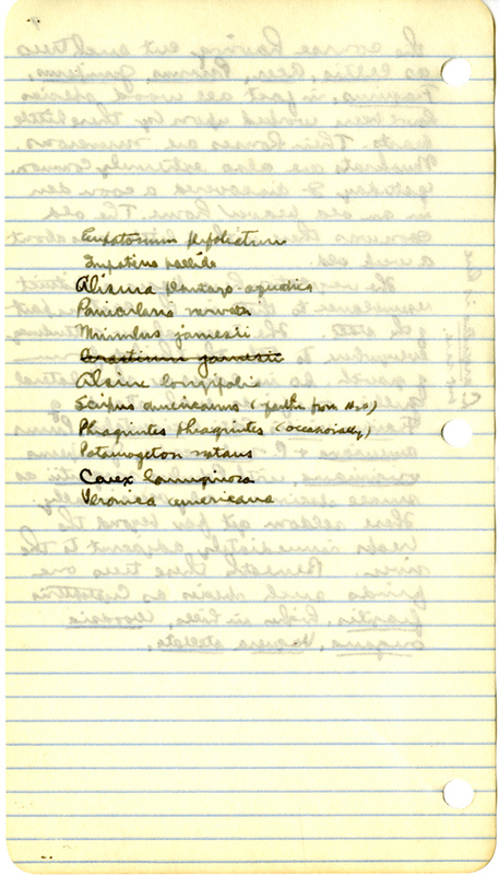 Raymond J. Pool Field Notes and Records