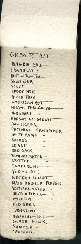 Frank H. Shoemaker handwritten composite list of birds, 5 pages, seen at Salt Basin, Lincoln, Nebraska.