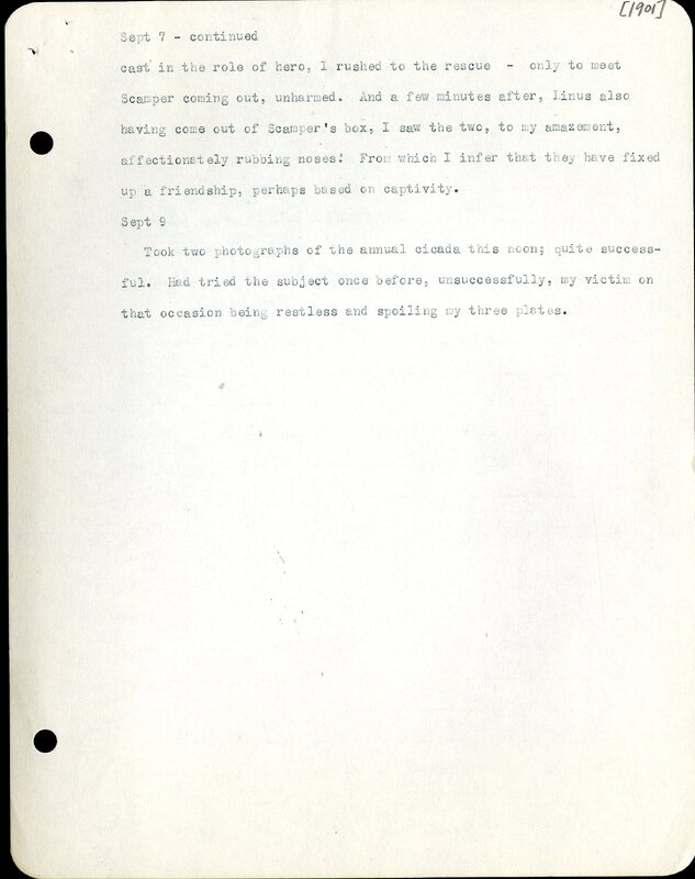 Frank H. Shoemaker typescript, 2 pages, on lizard living in bird room in Omaha home, 2 pages.