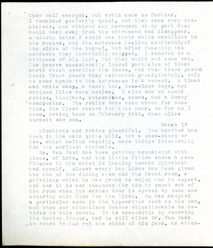 Frank H. Shoemaker typescript, 20 pages, detailing bird sightings, field trips, photography, and associated activities in Omaha, Nebraska.