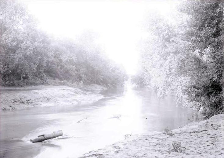 Salt Creek, 2 1/2 miles Northeast of Havelock. 1919
