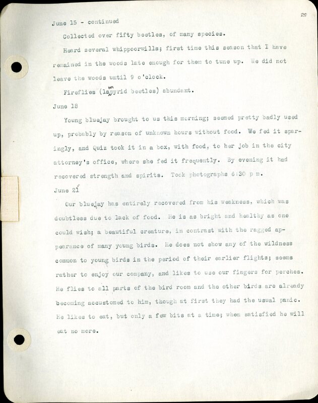 Frank H. Shoemaker typescript, 46 pages, detailing bird sightings, field trips, photography, and associated activities in Omaha, Nebraska.