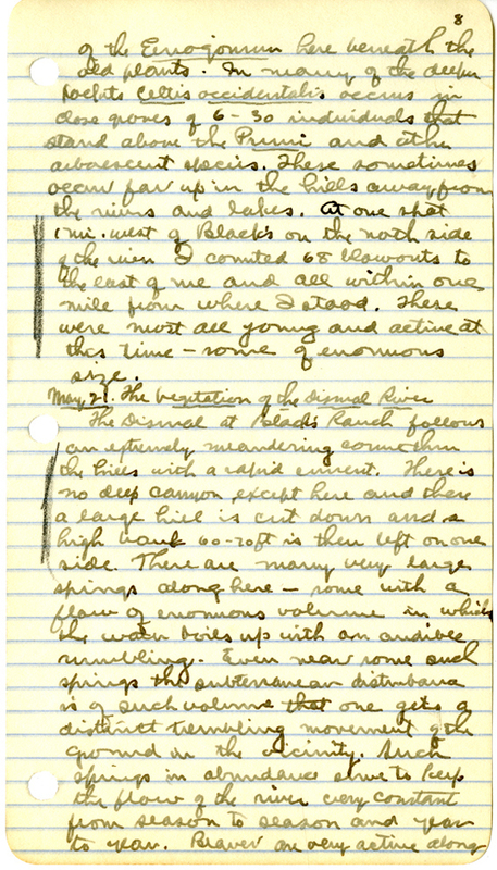 Raymond J. Pool Field Notes and Records