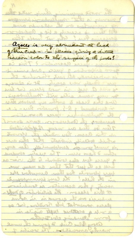 Raymond J. Pool Field Notes and Records