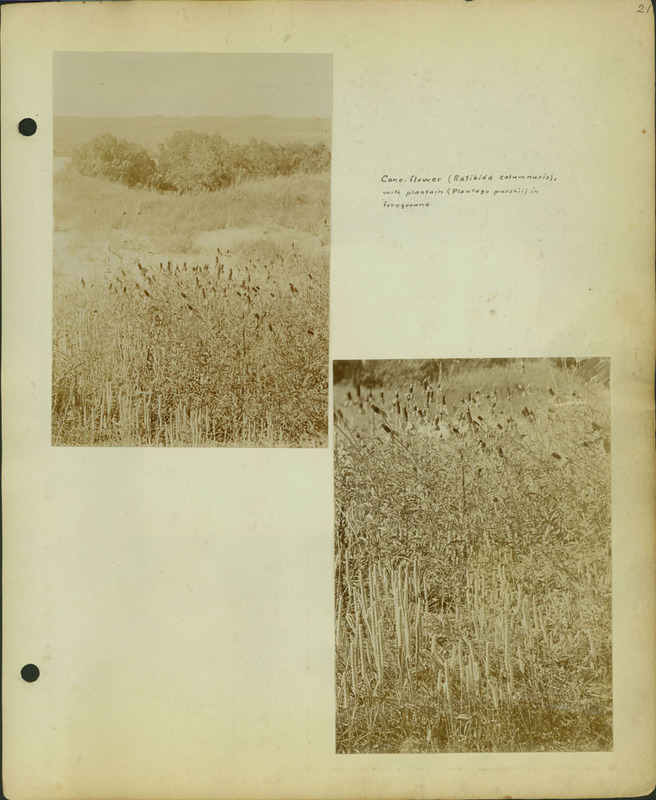 Frank Shoemaker, Narratives, Thomas County, July 3-11, July 27-30, 1911