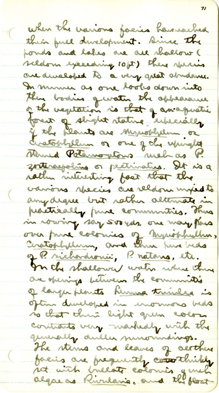 Raymond J. Pool Field Notes and Records