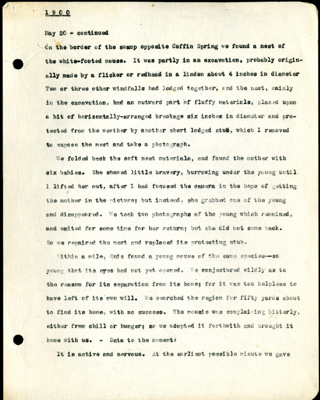 Frank H. Shoemaker typescript, 8 pages, detailing bird sightings, field trips, photography, and associated activities in Omaha, Nebraska.