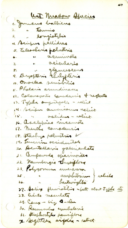 Raymond J. Pool Field Notes and Records