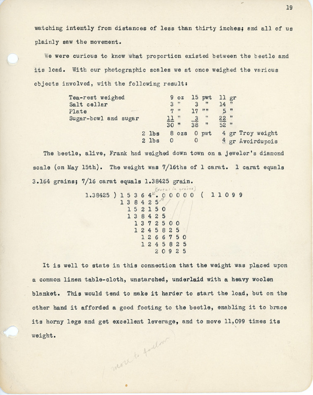 Elizabeth Van Sant transcribed letters