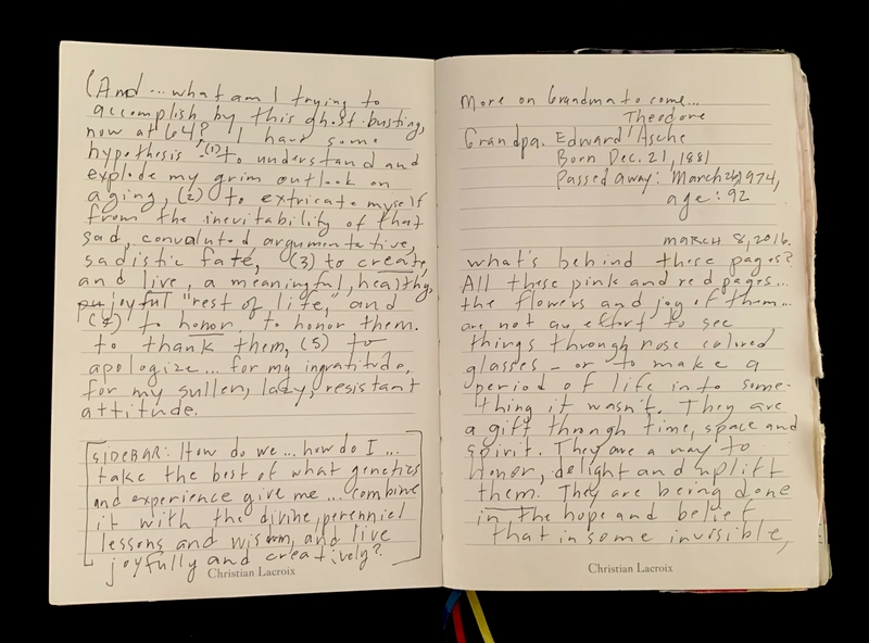 Open journal with handwritten reflections on life, aging, and perception.
