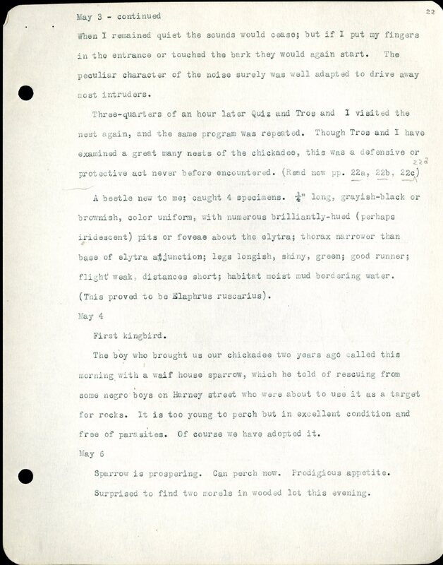 Frank H. Shoemaker typescript, 32 pages, detailing bird sightings, field trips, photography, and associated activities in Omaha, Nebraska.