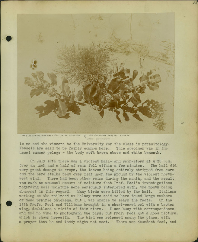 Frank Shoemaker, Narratives, Thomas County, July 3-11, July 27-30, 1911