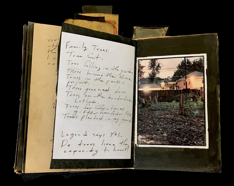 A handwritten page with a photograph of a residential area, accompanied by a list of tree-related phrases.