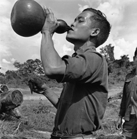 "Montagnards - Showplace Strat. Ham - 8-21-62 - In MTs - Faces - Blockhouses" A man drinking from water container.
