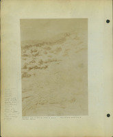 Frank Shoemaker, Narratives, Thomas County, July 3-11, July 27-30, 1911