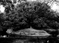 Branson, curve of creek immediately south of Wagon bridge. May 20, 1922. Lancaster County. Frank H. Shoemaker (321301-A1384)