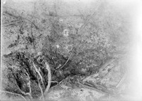 Original caption: Tunnel of Cicindela larvae. Salt Basin Lincoln. Heads of larve visible. Supplemental to plate showing tunnel openings. Aug. 8, 1915