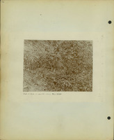 Frank Shoemaker Narratives, Sidney, Banner County, Scotts Bluff, July 30-Aug. 9, 1911