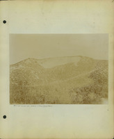 Frank Shoemaker, Narratives, Thomas County, July 3-11, July 27-30, 1911