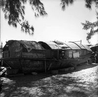 "Macau" A young boy is leaning out of a boat that is on land.