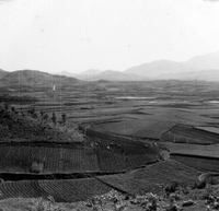 "Korea-Negs 181-3(1)-182-3(1) 3.Central Korea" A patchwork of farm plots dominates the photo. There are misty mountains in the background. From scrapbook page 23.