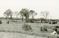 American soldiers setting up a camp in an open field.