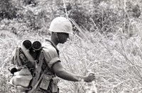 An American soldier standing in a field of tall grass.